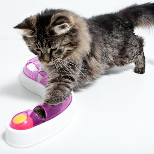 Juego de Pista de Bolas para Gatos