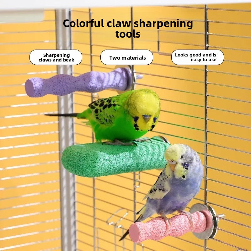 Parrot stands on the pole to sharpen its claws