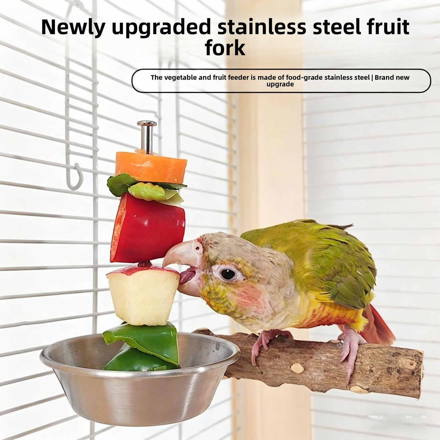 Stainless Steel Bird Feeder Bowl with Fruit Fork and Vegetable Hook